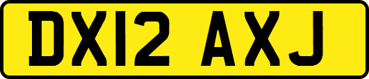 DX12AXJ