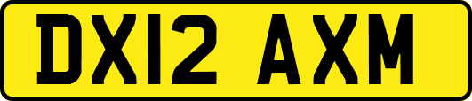 DX12AXM
