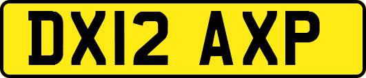 DX12AXP