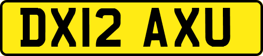 DX12AXU