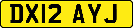 DX12AYJ