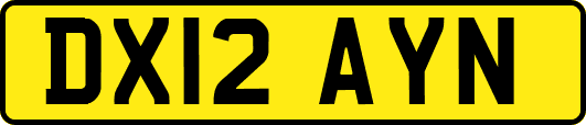 DX12AYN