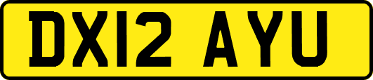 DX12AYU
