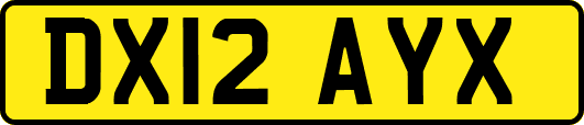 DX12AYX