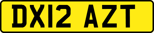 DX12AZT