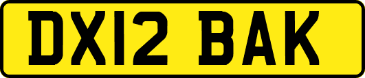 DX12BAK