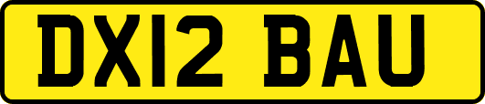 DX12BAU