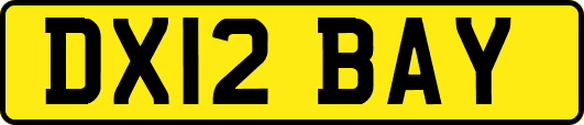 DX12BAY