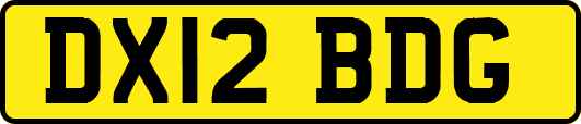 DX12BDG
