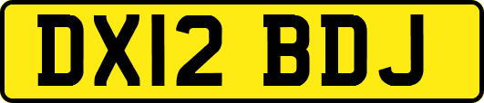 DX12BDJ