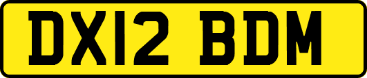 DX12BDM