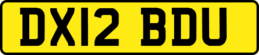 DX12BDU