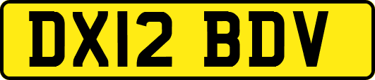 DX12BDV