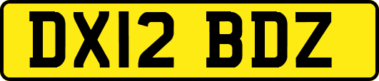 DX12BDZ