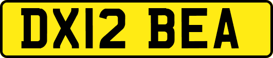 DX12BEA