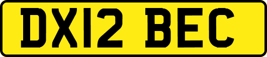 DX12BEC