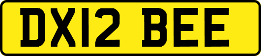 DX12BEE