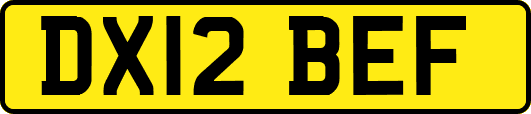 DX12BEF