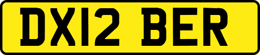 DX12BER