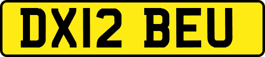 DX12BEU