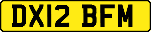 DX12BFM