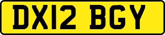 DX12BGY