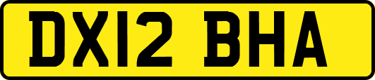 DX12BHA