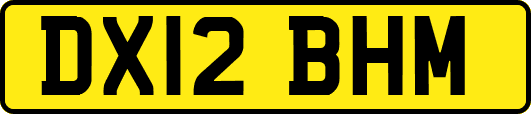 DX12BHM