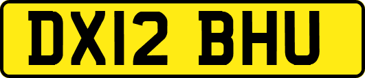 DX12BHU