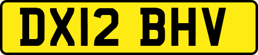 DX12BHV