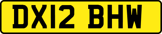 DX12BHW