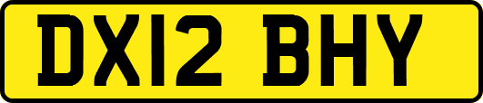 DX12BHY