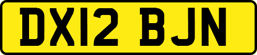 DX12BJN