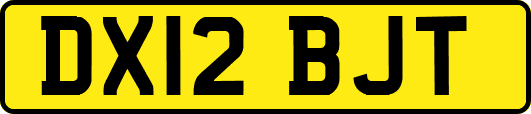 DX12BJT
