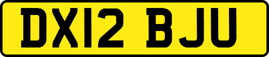 DX12BJU