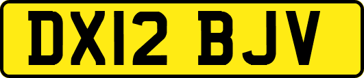 DX12BJV