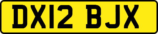 DX12BJX