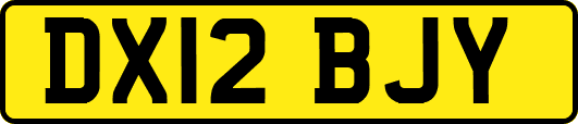 DX12BJY