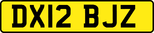 DX12BJZ