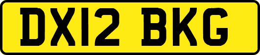 DX12BKG