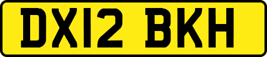 DX12BKH