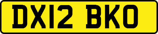 DX12BKO