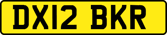 DX12BKR