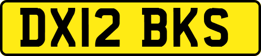 DX12BKS