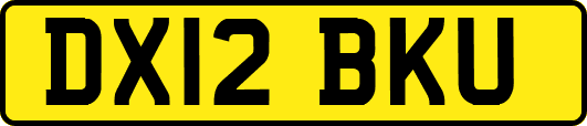 DX12BKU