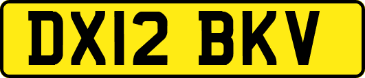 DX12BKV