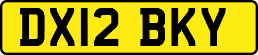 DX12BKY