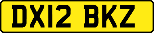 DX12BKZ