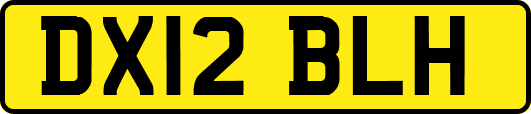 DX12BLH