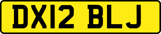 DX12BLJ